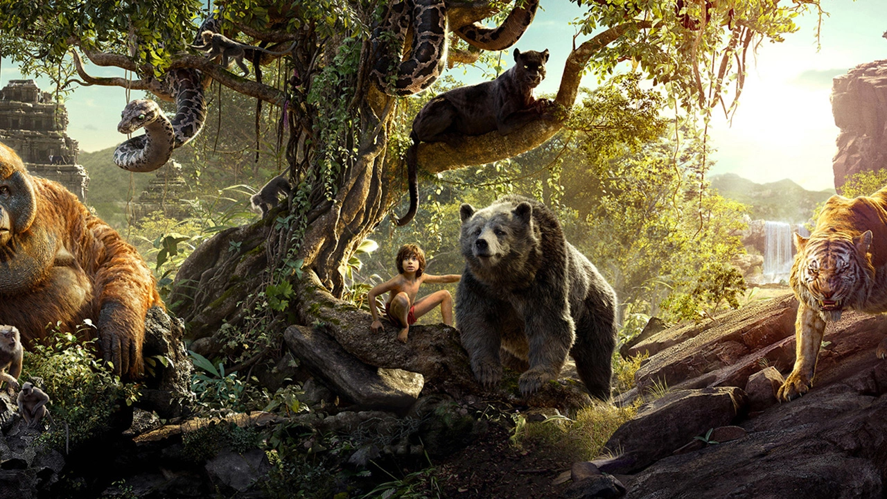 Image of VFX App design